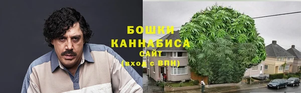 ешки Алексин