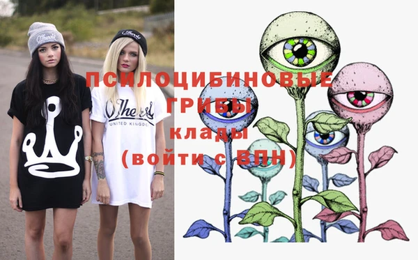 не бодяженный Арсеньев