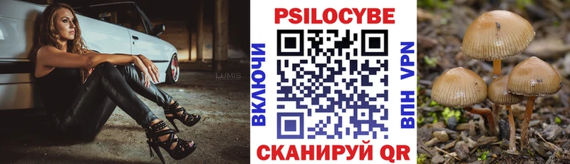 сколько стоит Выкса Псилоцибиновые грибы ЛСД